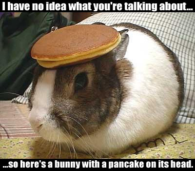 A picture of a bunny with a pancake on its head